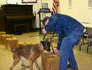 This drug sniffing dog demonstrates what happens during a K-9 narcotics search.